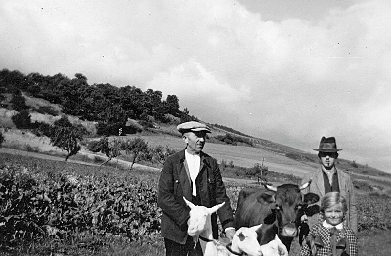 landwirtschaft_(11).jpg